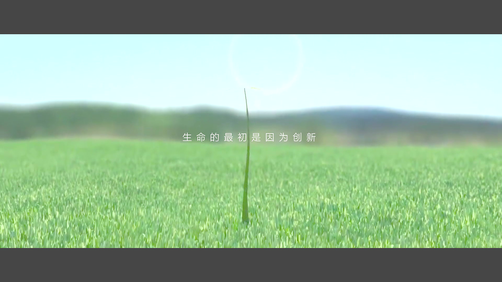 宣傳片制作